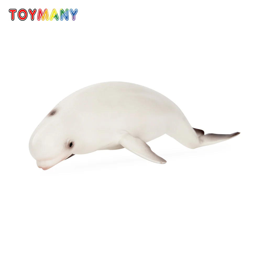Toymany Simulation Beluga Whal - Kids Toys Under $5 评论和价格
