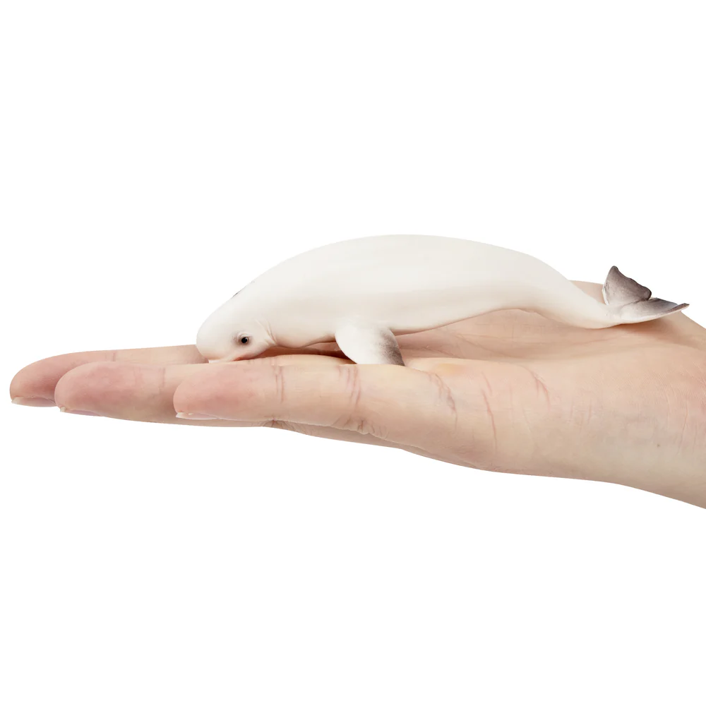 Toymany Simulation Beluga Whal - Kids Toys Under $5 评论和价格
