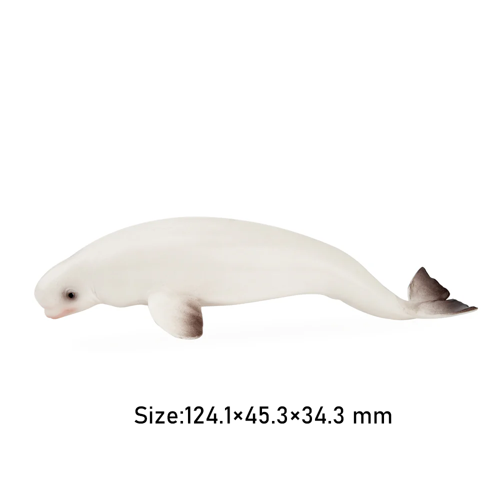 Toymany Simulation Beluga Whal - Kids Toys Under $5 评论和价格