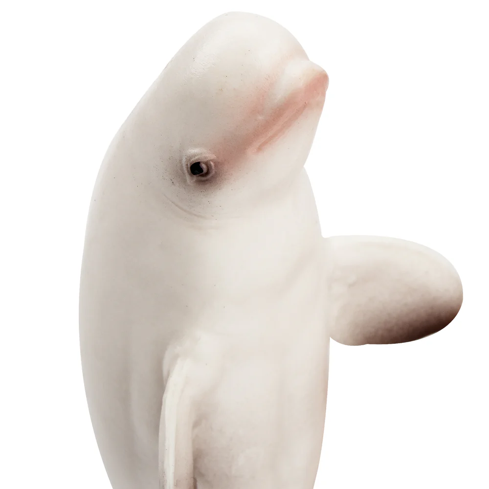 Toymany Simulation Beluga Whal - Kids Toys Under $5 评论和价格