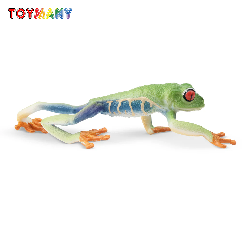 Toymany Simulation Red-eyed Tr - Kids Toys Under $5 评论和价格
