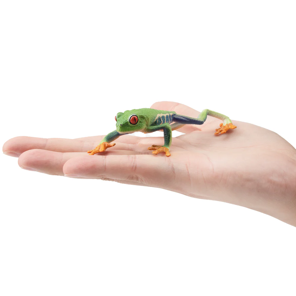 Toymany Simulation Red-eyed Tr - Kids Toys Under $5 评论和价格