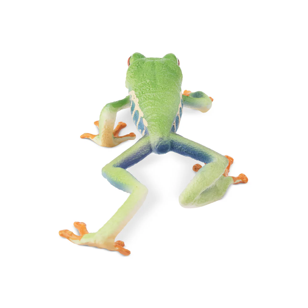 Toymany Simulation Red-eyed Tr - Kids Toys Under $5 评论和价格