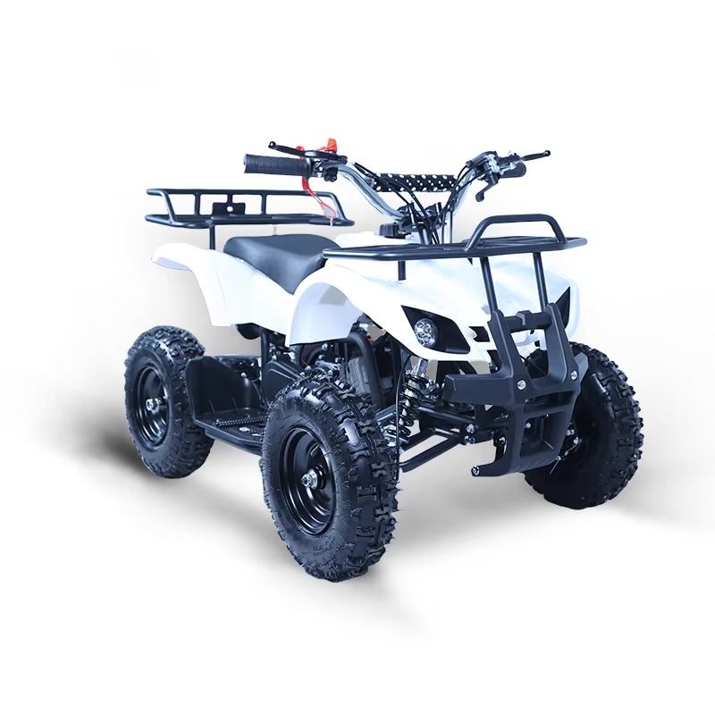 49cc Mini ATV Kids Quad Bike 2 - Kids Toys Quad 评论和价格