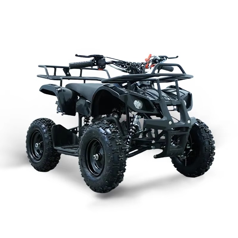 49cc Mini ATV Kids Quad Bike 2 - Kids Toys Quad 评论和价格
